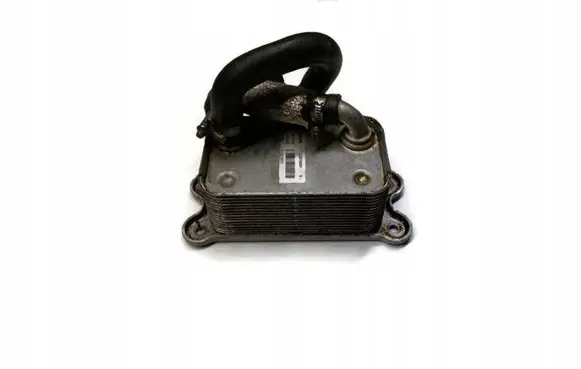 Ford Focus Engine oil radiator 