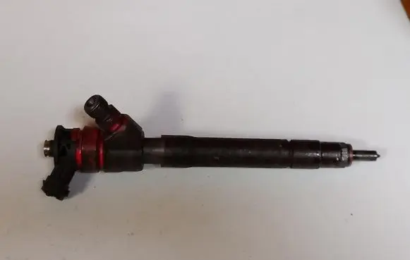 Renault Trafic III (X82) Fuel injector H8201055367