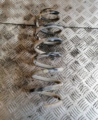 Volkswagen PASSAT B6 Rear coil spring