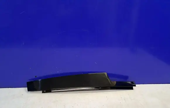 BMW X6 F16 Front door trim (molding) 731778909