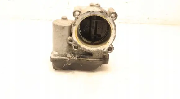 Throttle body valve