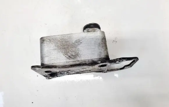 BMW 5 GT F07 Engine oil radiator D4B019TT