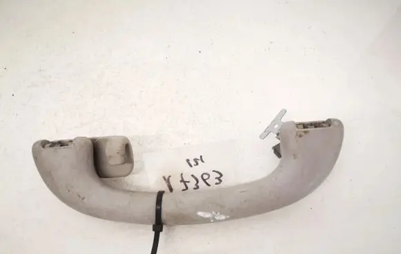 Ford Focus Rear interior roof grab handle