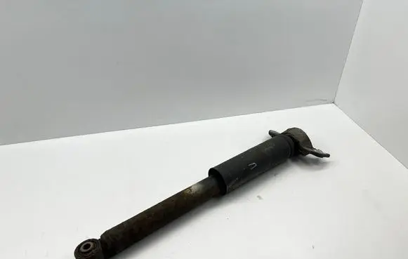 Opel Insignia A Rear shock absorber with coil spring 