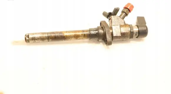 Ford Focus Fuel injector