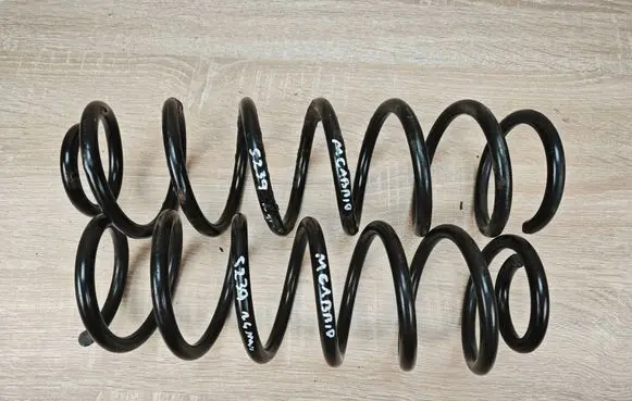 Renault Megane III Rear coil spring SPR.239