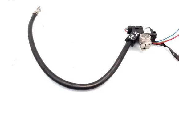 Negative earth cable (battery)