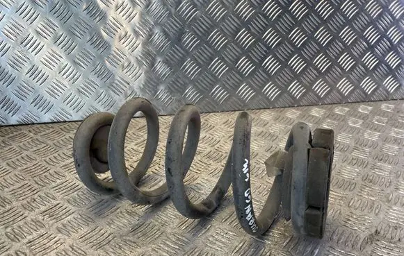 Rear coil spring