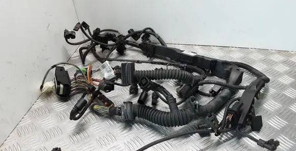 Engine installation wiring loom