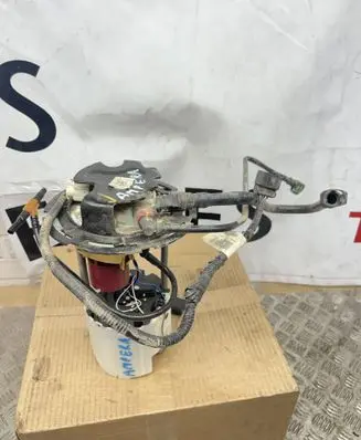 Opel Ampera In-tank fuel pump 813026069 T1326K8967
