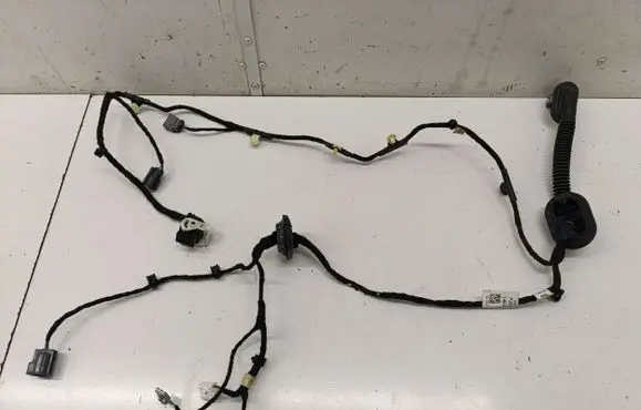 Rear door wiring loom