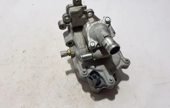 Renault Arkana Water pump 210104BC0A