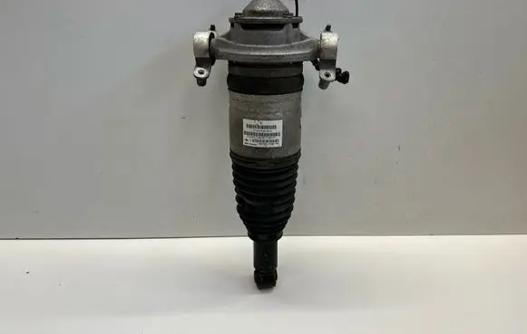 Porsche Cayenne (92A) Rear shock absorber/damper 7P5616020AG