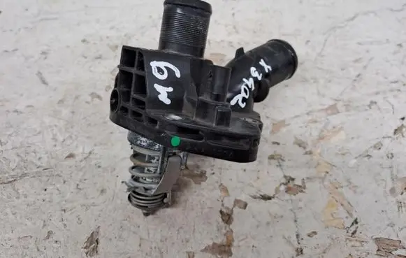 Thermostat/thermostat housing