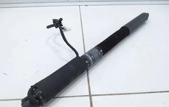 Tailgate strut