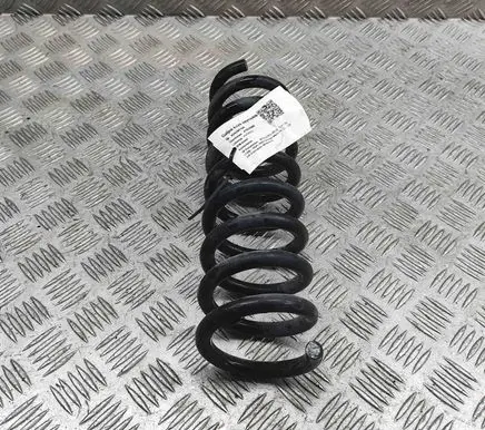 Rear coil spring