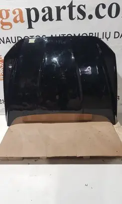Engine bonnet/hood