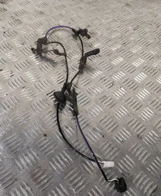 Toyota Prius (XW50) Rear ABS sensor wiring PRIUS17ABSLAIDAS