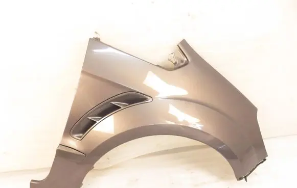 Ford S-MAX Fender 