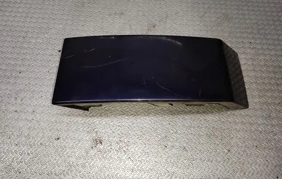 Rear/tail light trim molding