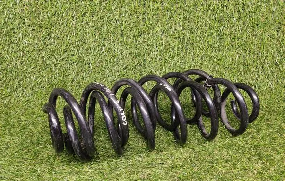 Rear coil spring