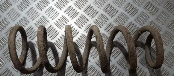 Peugeot 406 Rear coil spring