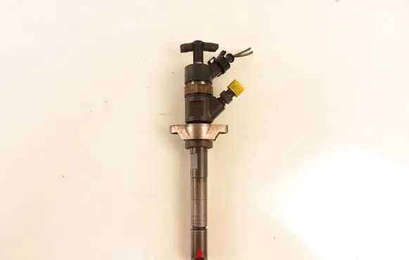 Ford Focus Fuel injector 0445110259