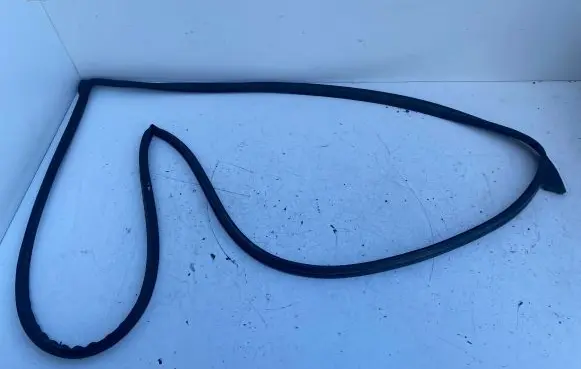 KIA Ceed Rubber seal front door (on door) 