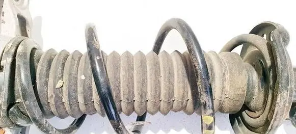 Rear coil spring
