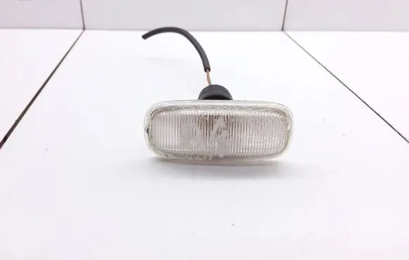 Front fender indicator light