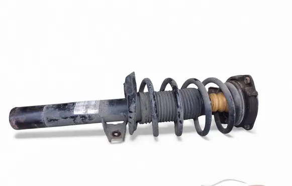 Volkswagen PASSAT B7 Front shock absorber with coil spring 317578