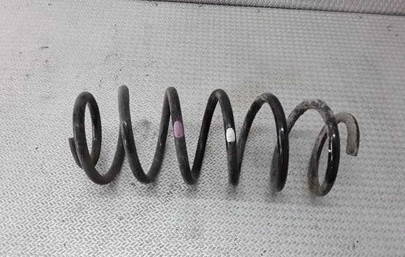 Opel Antara Front coil spring