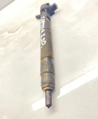 Chevrolet Captiva Fuel injector 25195089 28489548 1106EL06R34