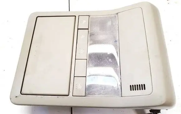 Opel Antara Front seat light