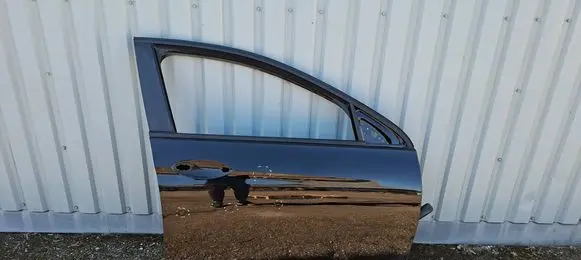 Opel Insignia B Front door 