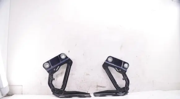 Mercedes-Benz GL X164 Engine bonnet/hood hinges A2518800428 C359