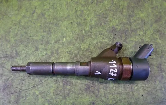 Citroen C5 Fuel injector 0445110076