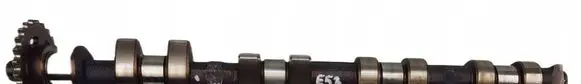 BMW X5 E53 Camshaft 1745497