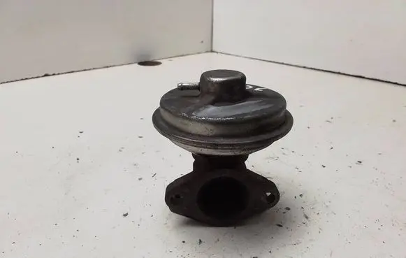 EGR valve