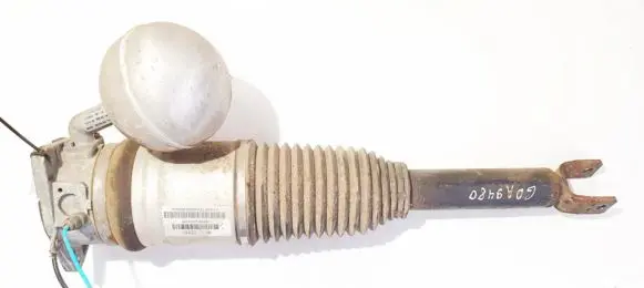 Volkswagen Phaeton Rear shock absorber/damper 3d0616002m