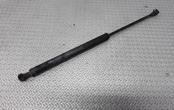 Tailgate/trunk strut/damper