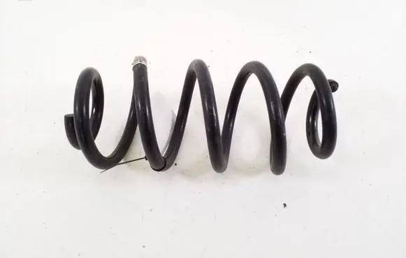Rear coil spring