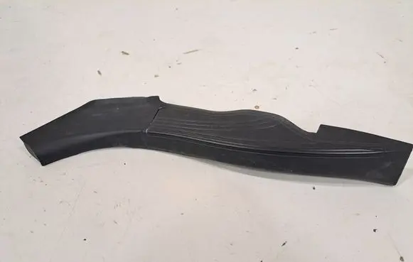 Rear/tail light trim molding