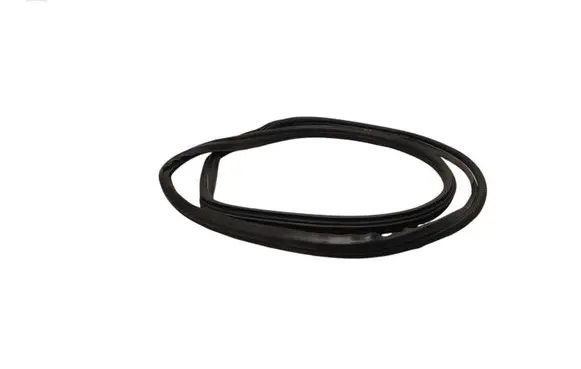 Fiat 500L Front door rubber seal 
