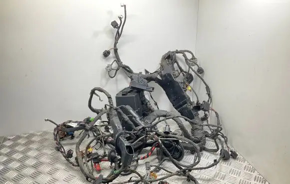 Audi Q2 - Wiring harness 81B974029A 81B974034AC 81A974085