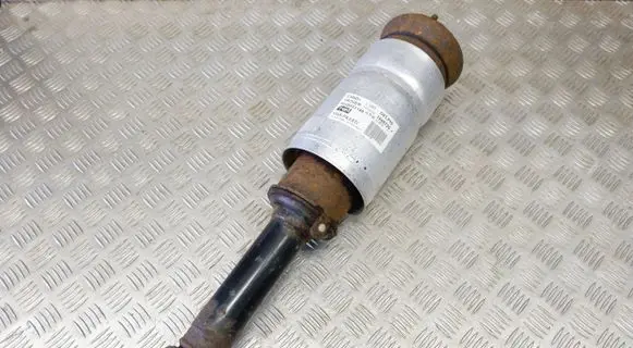 Land Rover Range Rover Sport L320 Air suspension front shock absorber RNB501140 22227491