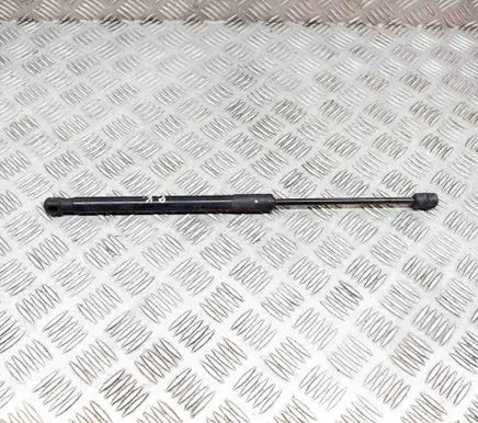 Front bonnet/hood damper/strut