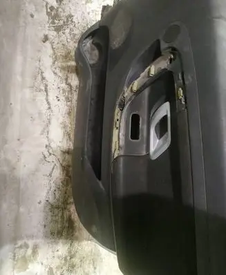 Skoda Roomster (5J) Front door card panel trim 
