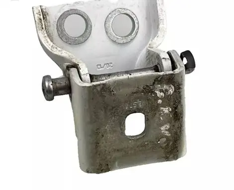 Rear door lower hinge