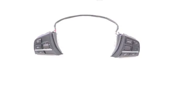 BMW 5 GT F07 Steering wheel buttons/switches 9163032